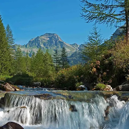 호텔 Arlecchino - Dada 3*