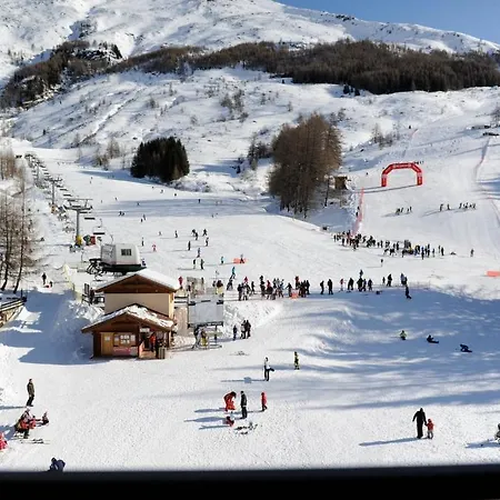 Arlecchino - Dada 3*