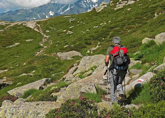 Arlecchino - Dada 3*