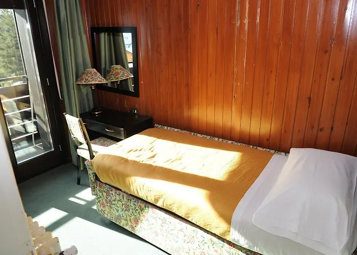 Hotel Arlecchino - Dada
